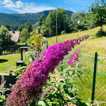 Séjour chez l'habitant L'hippocampe *