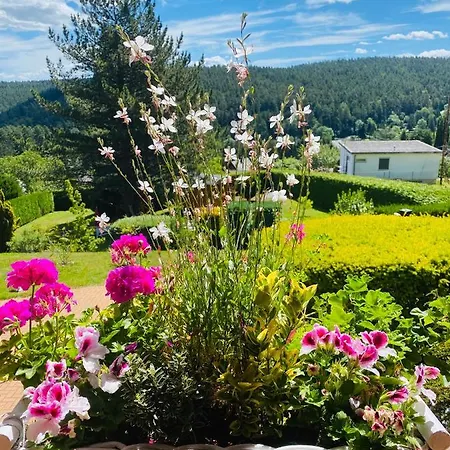 L'hippocampe Séjour chez l'habitant Wangenbourg-Engenthal