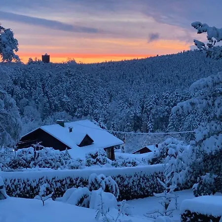 L'hippocampe Wangenbourg-Engenthal