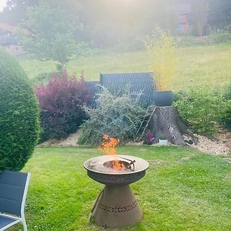 L'hippocampe * Wangenbourg-Engenthal