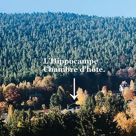 L'hippocampe Privatunterkunft Wangenbourg-Engenthal