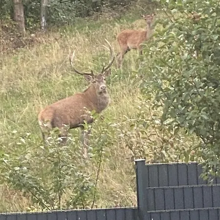 L'hippocampe * Wangenbourg-Engenthal