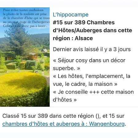 L'hippocampe Séjour chez l'habitant *