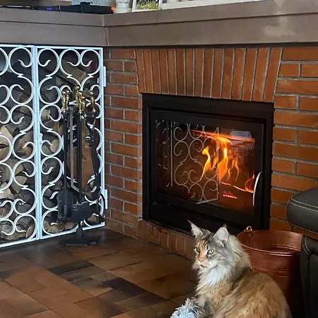 Quarto em Acomodações Particulares L'hippocampe *