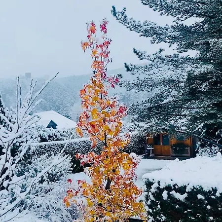 Séjour chez l'habitant L'hippocampe Wangenbourg-Engenthal
